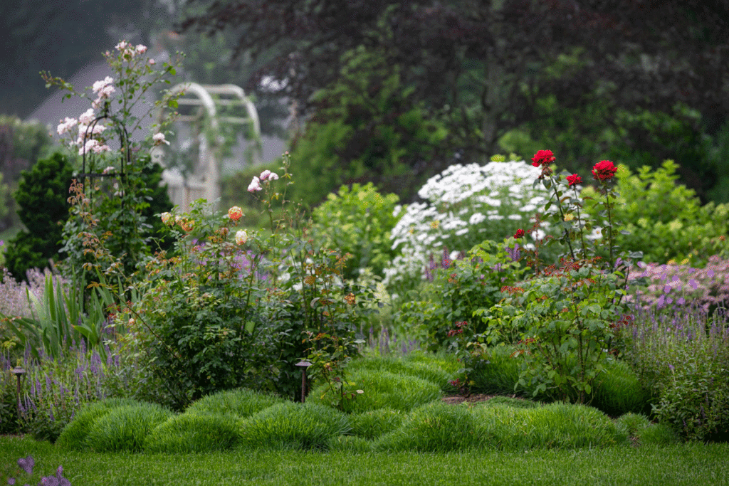 English Flower garden